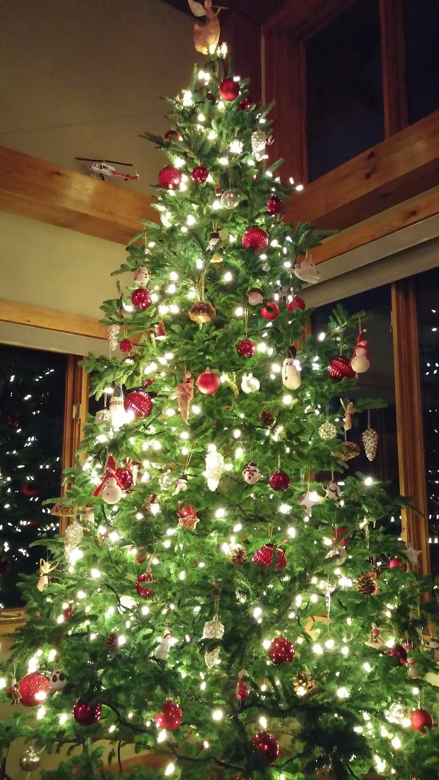 Quesnel Christmas Trees | Collingwood, ON L9Y 3Z1, Canada | Phone: (705) 445-2375