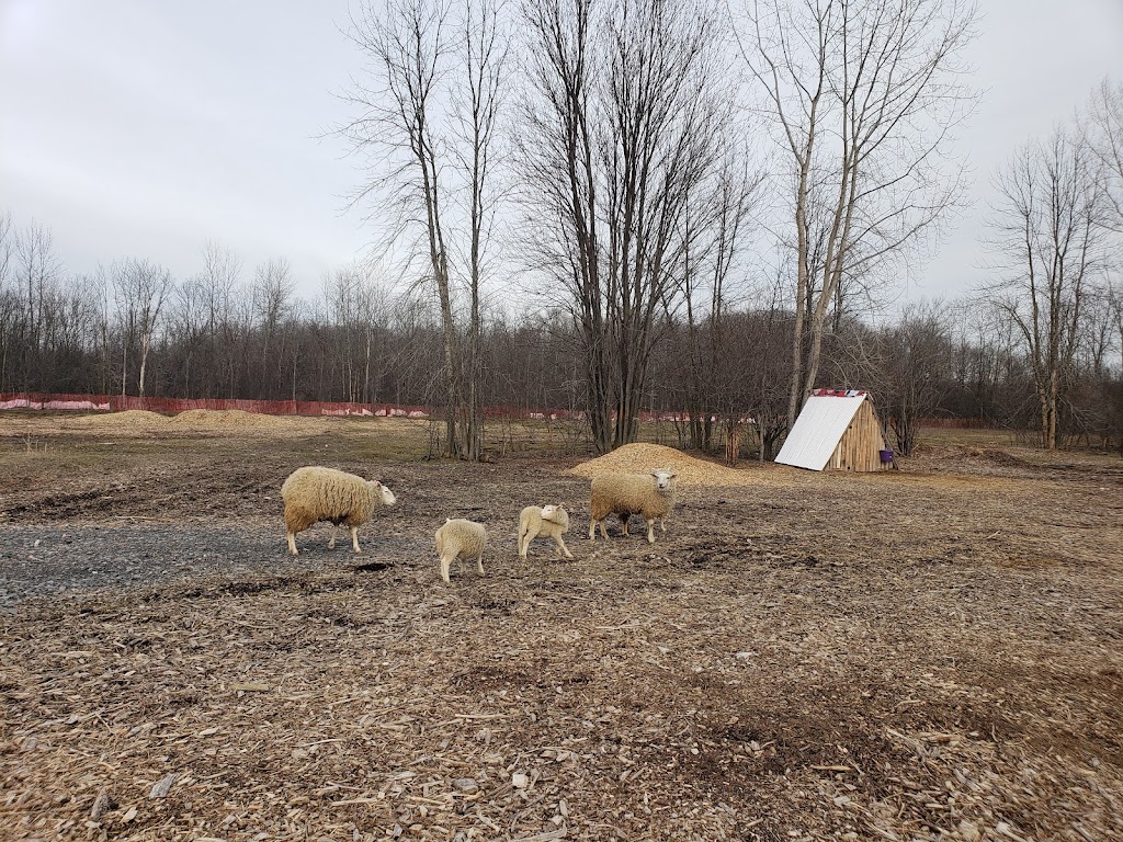 Ferme Bord-du-Lac | 1530 Chem. du Bord-du-Lac, LÎle-Bizard—Sainte-Geneviève, QC H9E 1K3, Canada | Phone: (514) 675-1236