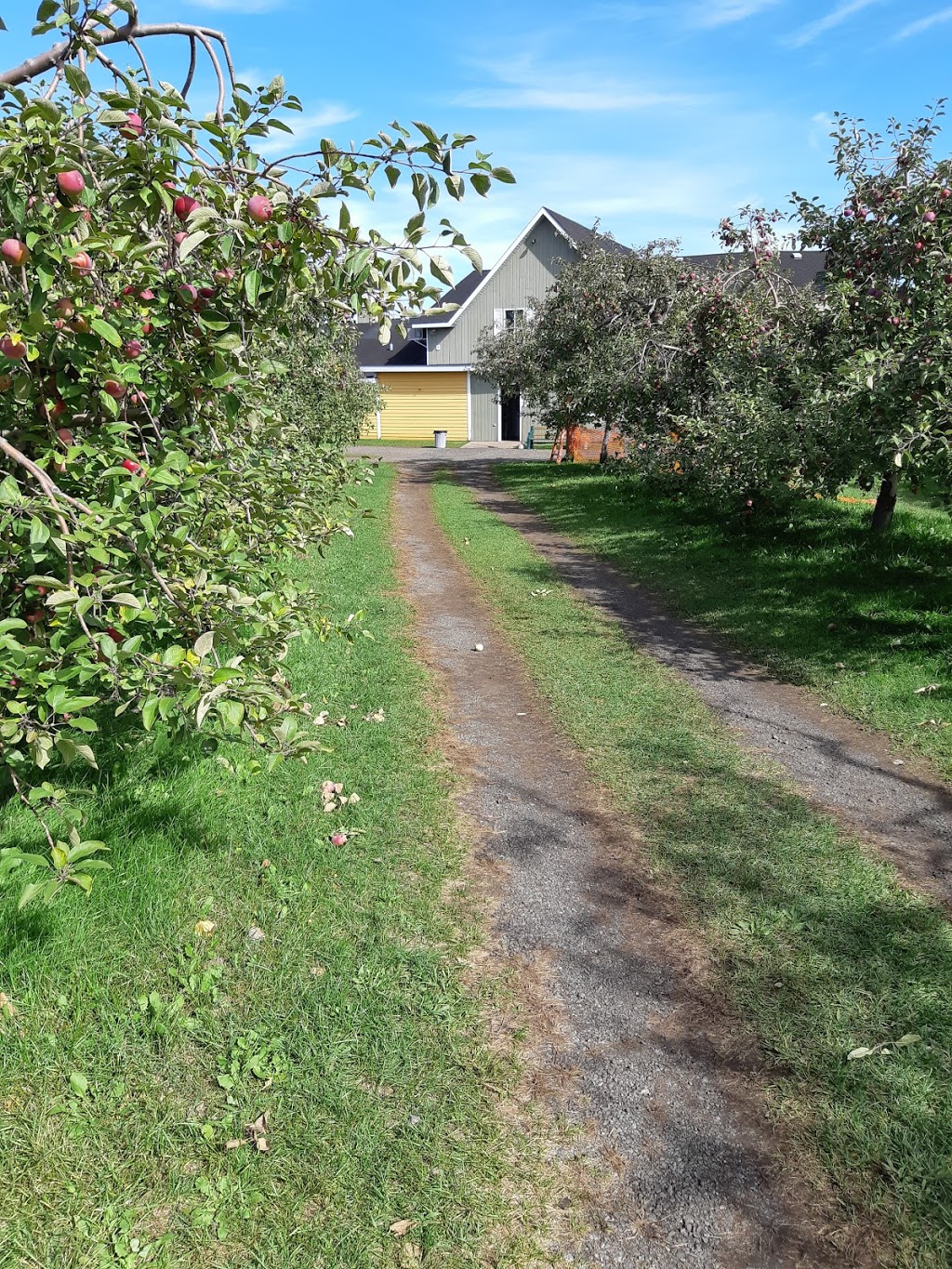 Apple Ferme | 425 Rue Binette, Saint-Joseph-du-Lac, QC J0N, Canada