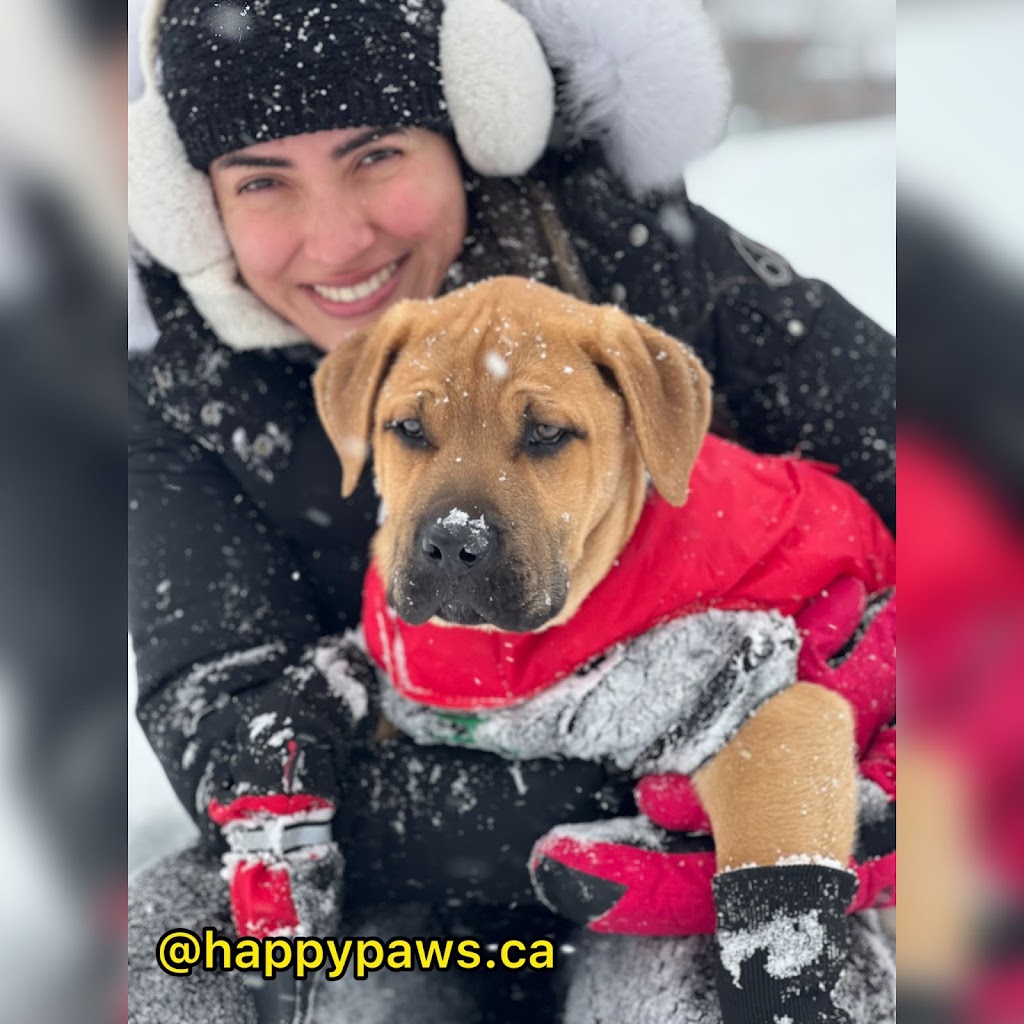 Happy Paws Toronto - Canada | 2961 Dufferin St, Toronto, ON M6B 3T2, Canada | Phone: (647) 901-3462