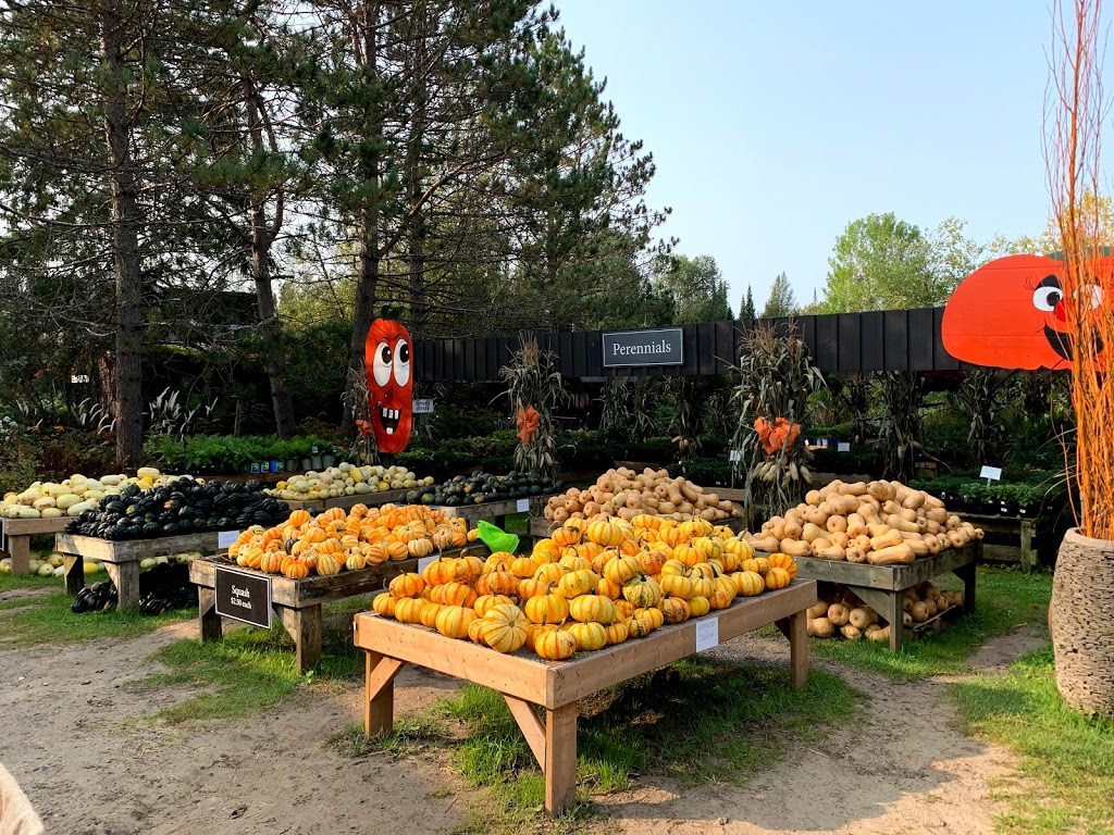 Sandhill Nursery | 1686 Aspdin Rd, Huntsville, ON P1H 2K8, Canada | Phone: (705) 789-5319