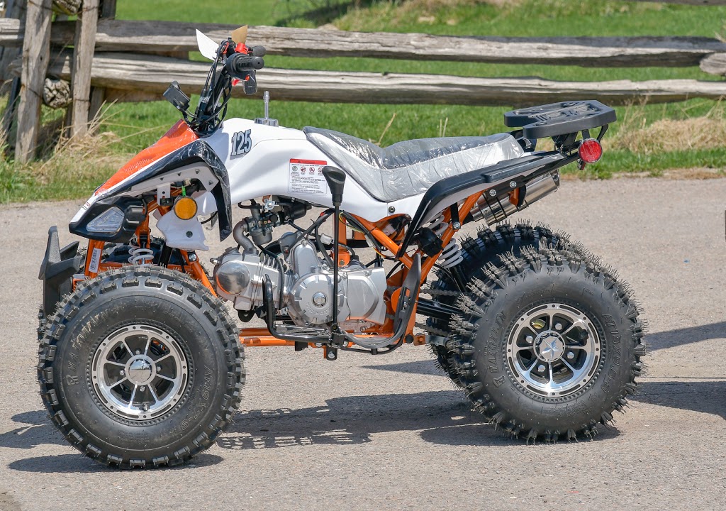 Treasure Island Cycles & ATVs | 3900 ON-35, Cameron, ON K0M 1G0, Canada | Phone: (705) 328-7197