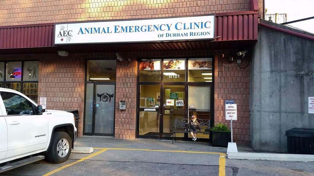 Animal Emergency Clinic of Durham Region | 1910 Dundas St E b101, Whitby, ON L1N 2L6, Canada | Phone: (905) 576-3031