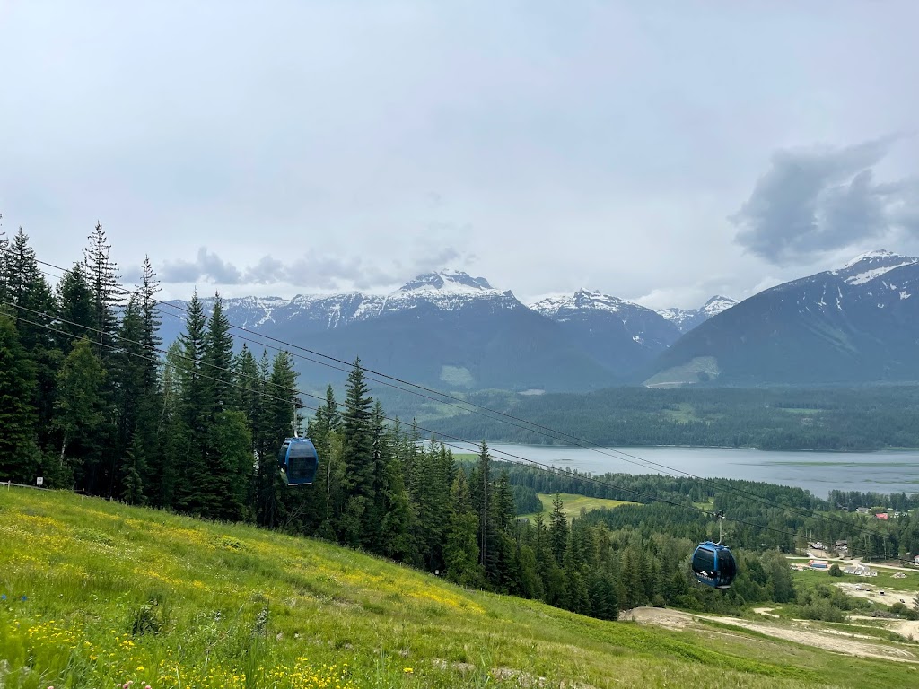 Revelstoke Community Forest Corporation | 4000 Highway 23rd North, Revelstoke, BC V0E 2S0, Canada | Phone: (250) 837-5733