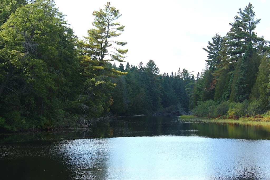 Rock Lake Access Point (#9) | Rock Lake Rd, Algonquin Highlands, ON K0J 2M0, Canada | Phone: (705) 633-5572