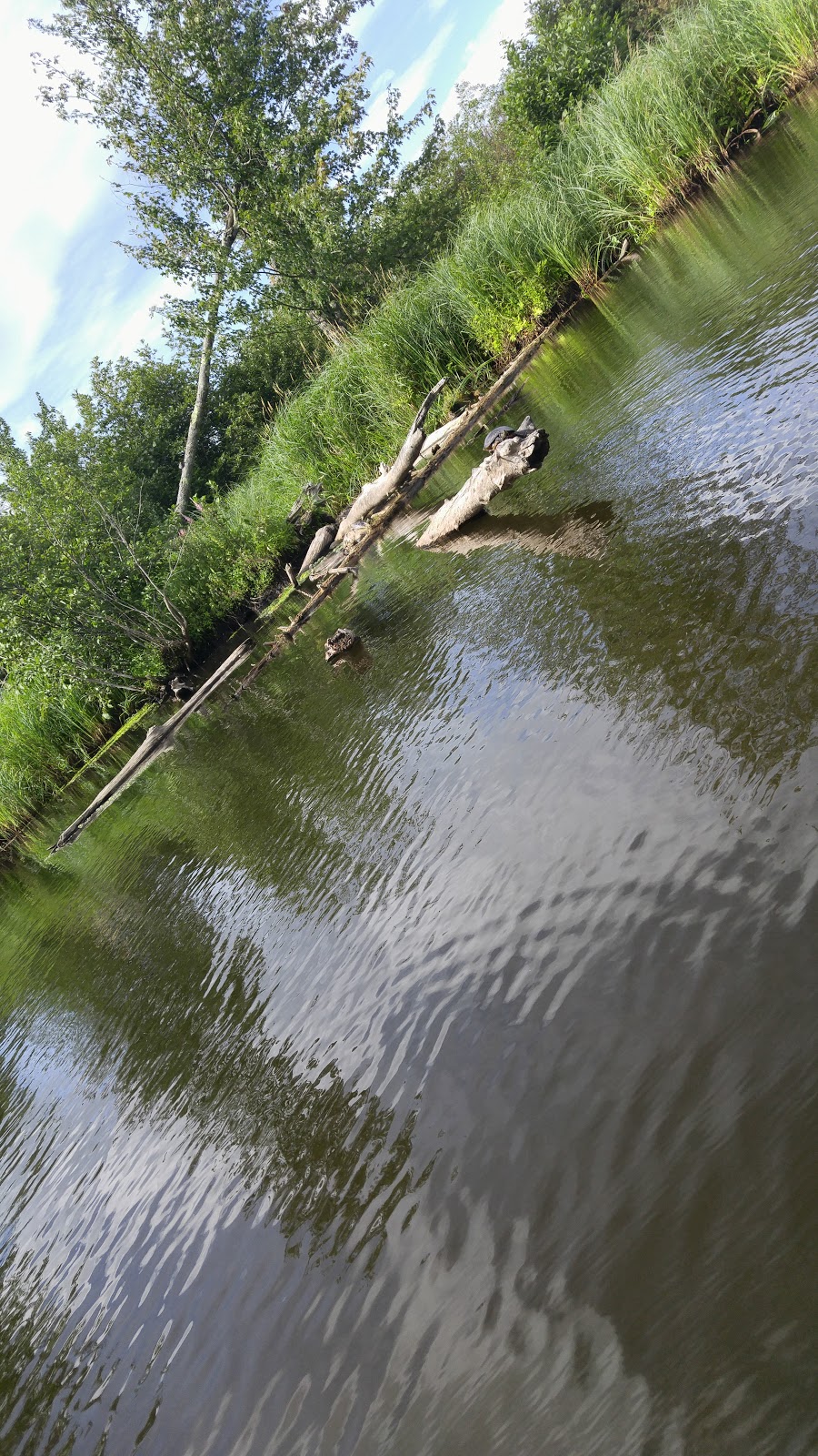 Réserve naturelle Quilliams-Durrull | Lac-Brome, QC J0E 1R0, Canada