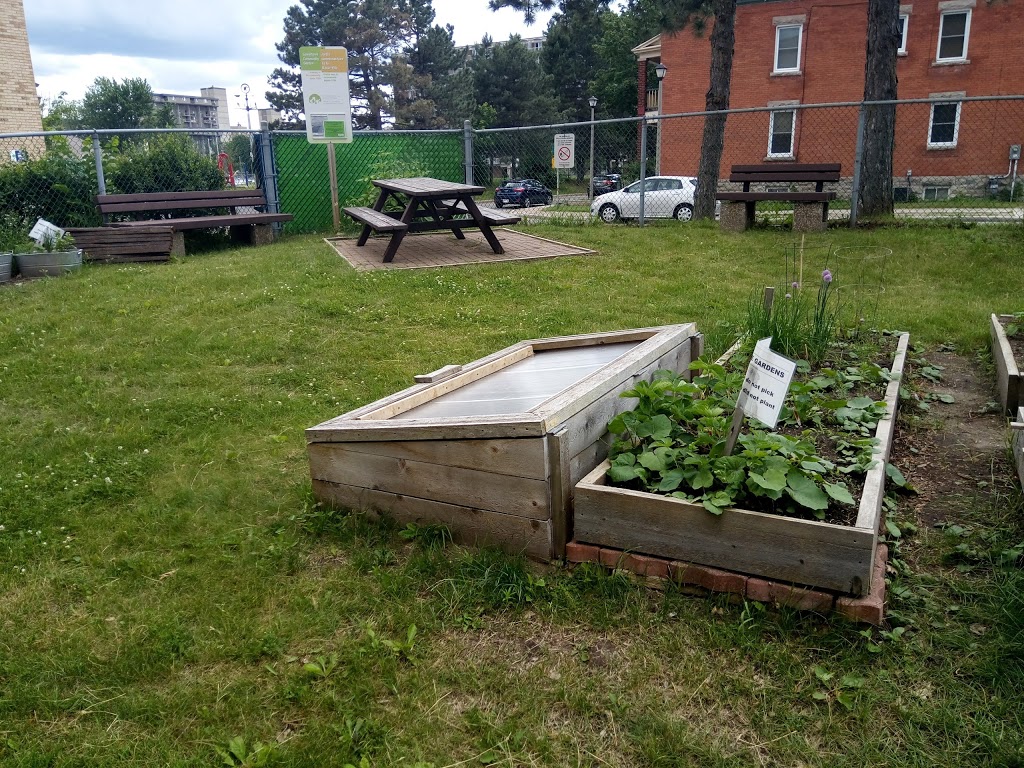 Lowertown Community Garden | 1G1, Patro St, Ottawa, ON K1N 1G1, Canada | Phone: (613) 789-3930