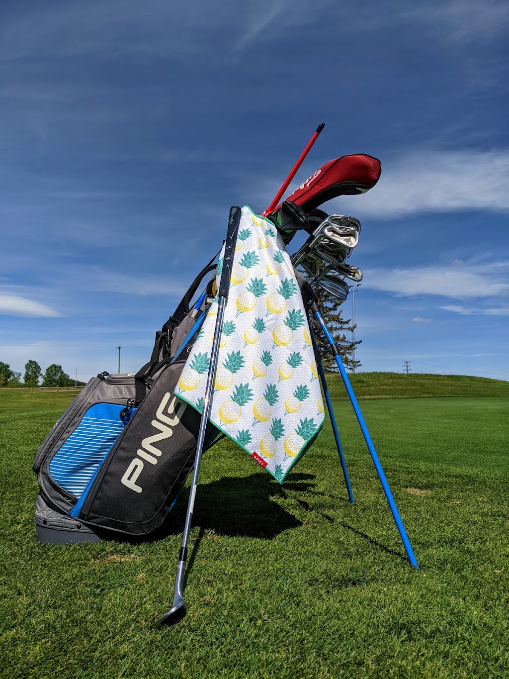 Carstairs Golf Club | 2 Highway 2A North, Carstairs, AB T0M 0N0, Canada | Phone: (403) 337-3382