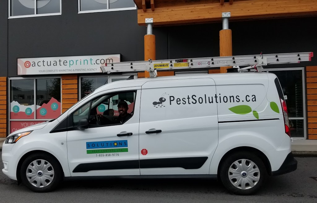 Solutions Pest Control | 6460 Toad Hollow, Whistler, BC V8E 0C5, Canada | Phone: (604) 905-0040