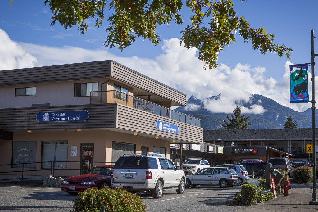 Garibaldi Veterinary Hospital | 40376 Tantalus Rd, Garibaldi Highlands, BC V0N 1T0, Canada | Phone: (604) 898-9089