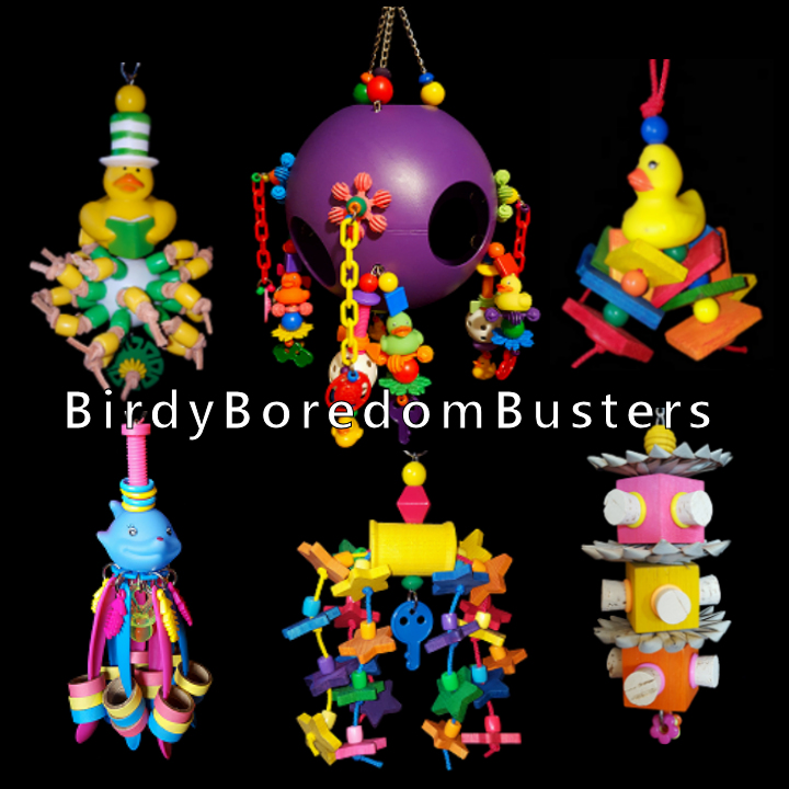 Birdy Boredom Busters Bird Toys | 14 Brooklyn Bay, La Broquerie, MB R0A 0W2, Canada | Phone: (204) 782-4902