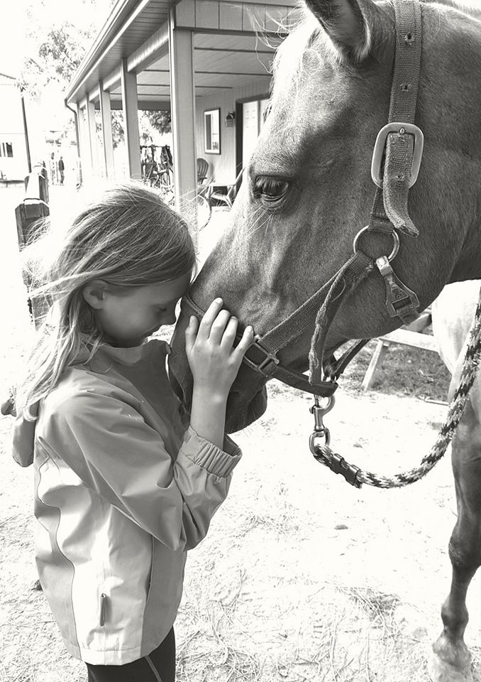 Horseshoe J Dude Ranch - Summer Camps, Lessons, Public trail rid | 32553 Erin Line, Fingal, ON N0L 1K0, Canada | Phone: (519) 762-5402