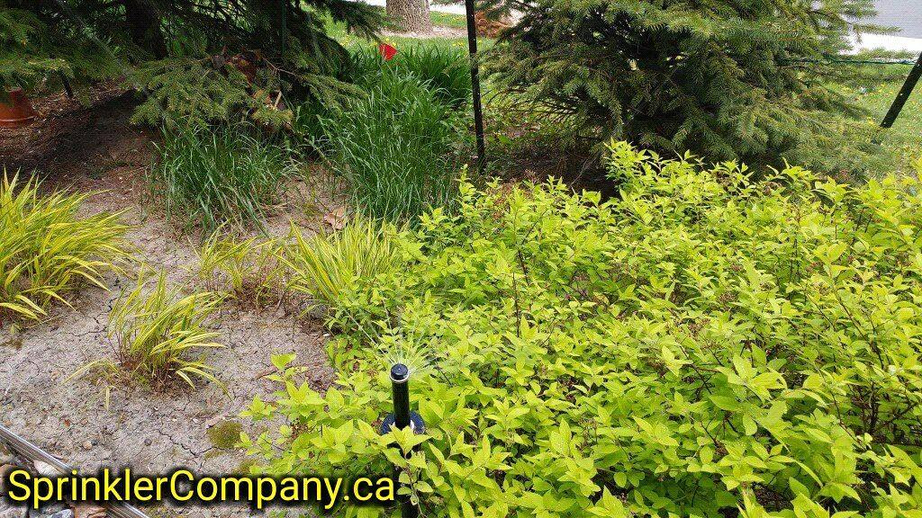 The Sprinkler Company Inc. | 43 Booth Ln, Barrie, ON L4N 0S5, Canada | Phone: (647) 608-4444