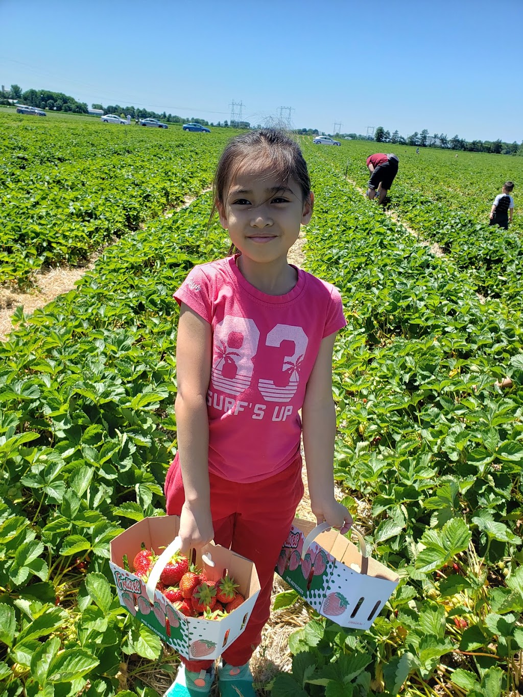 Hubert Sauvé Farm | 140 Rang du Milieu, Salaberry-de-Valleyfield, QC J6S 0E7, Canada | Phone: (450) 373-2979