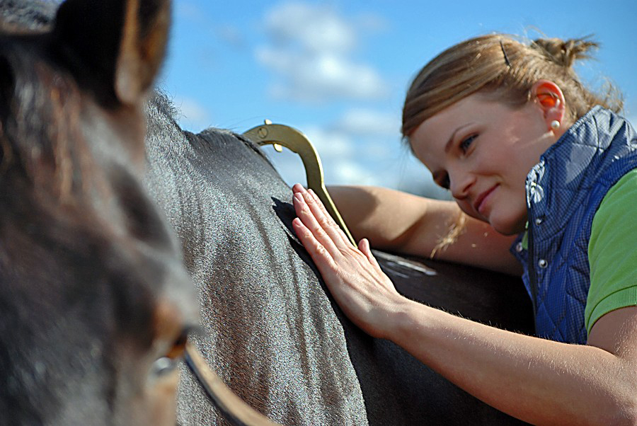 Saddlefit 4 Life® | 82 Derby Ct, Newmarket, ON L3Y 5Z9, Canada | Phone: (800) 225-2242