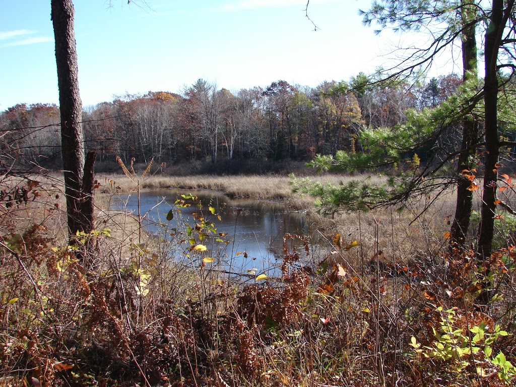 L-Lake Management Area trail access | Lambton Shores, ON N0M 2L0, Canada