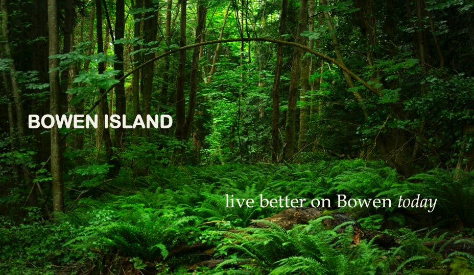 Better on Bowen Real Estate - Vaune Kolber, REALTOR(r) - Dexter  | 303-1 ARTISAN SQUARE, 566 Artisan Ln, Bowen Island, BC V0N 1G2, Canada | Phone: (604) 506-7534