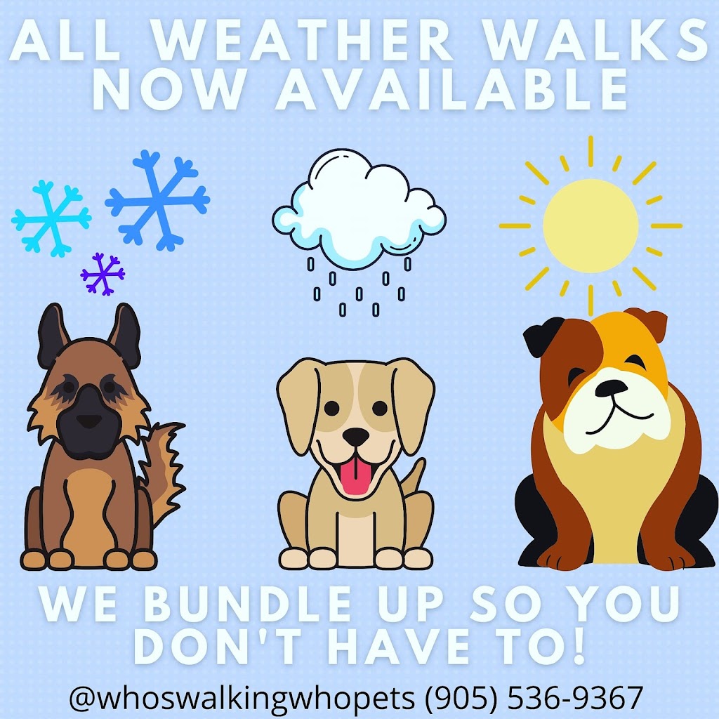 Whos Walking Who? Pet Services | 549 Lakeview Rd, Fort Erie, ON L2A 4W5, Canada | Phone: (905) 536-9367