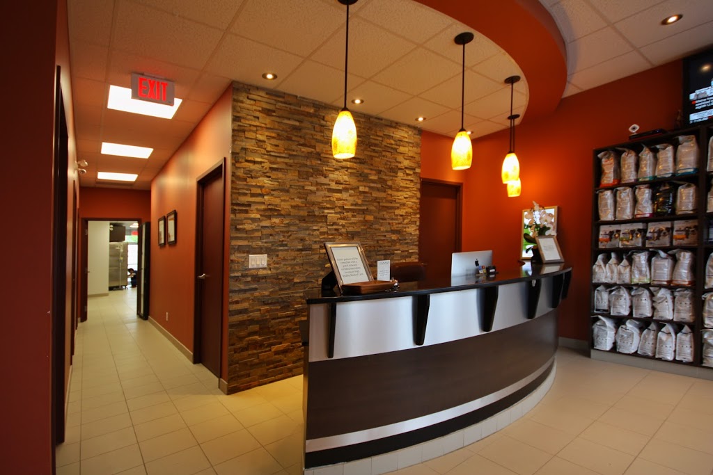Vellore Woods Veterinary Clinic | 125 Hawkview Blvd, Vaughan, ON L4H 3T7, Canada | Phone: (289) 217-7949
