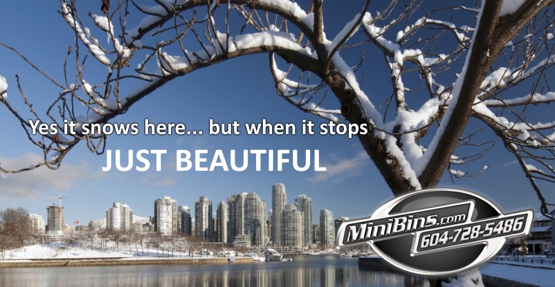 Minibins.com | 20085 96 Ave, Langley, BC V1M 3C5, Canada | Phone: (604) 728-5486