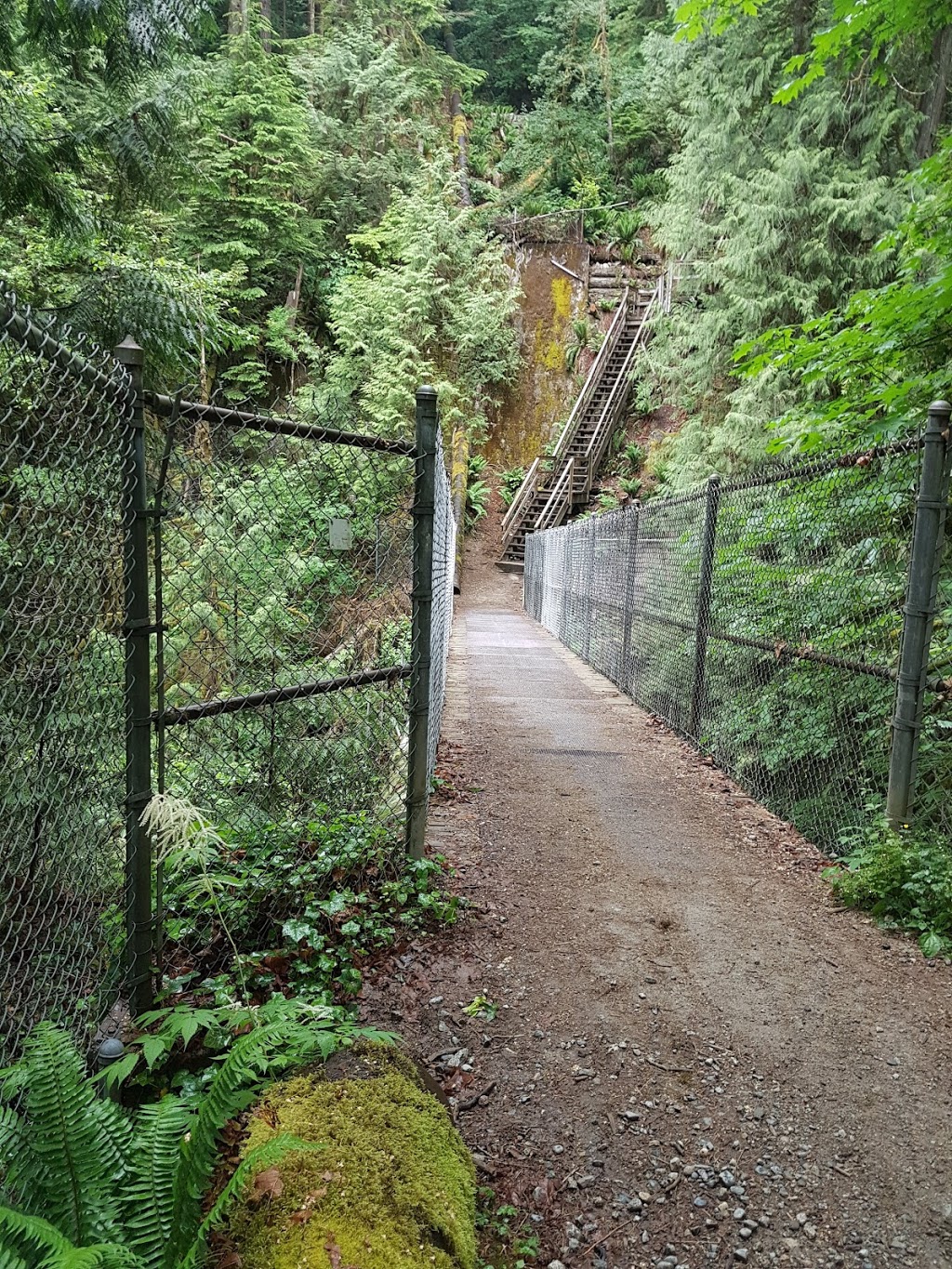 Fisherman’s Trail | Fishermans Trail, North Vancouver, BC V7H 2K6, Canada