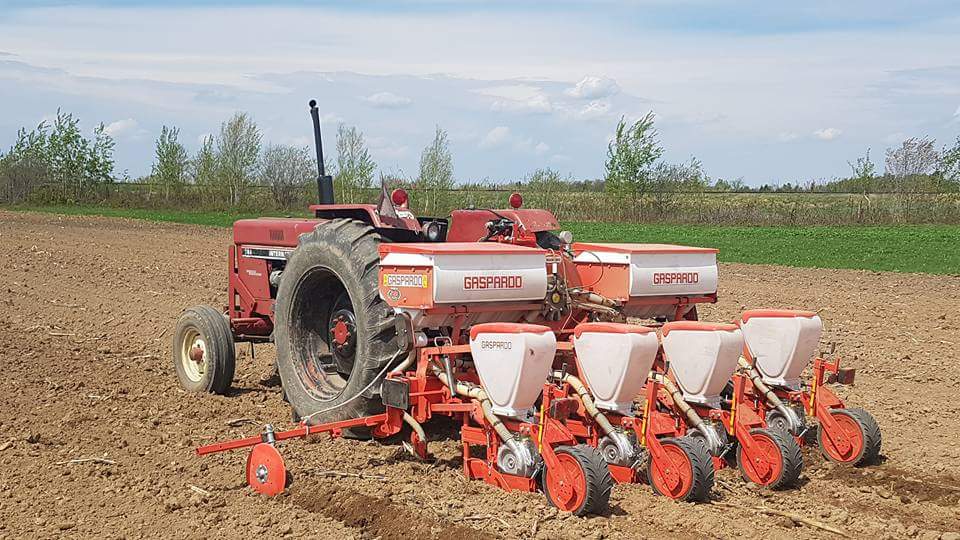 Ferme Langlois et Fils (Chez Médé) | 1087 QC-138, Neuville, QC G0A 2R0, Canada | Phone: (418) 909-0729