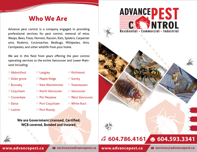 Pest Control Mission | 33764 Bowie Dr, Mission, BC V2V 7S3, Canada | Phone: (604) 786-4161