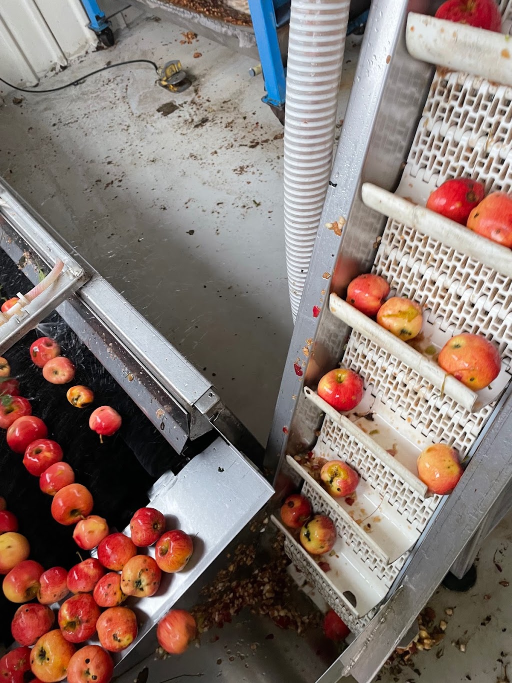 Rolling Acres Cider Mill | 1235 Martin Creek Rd RR 3, Waterloo, ON N2J 3Z4, Canada | Phone: (519) 664-1337