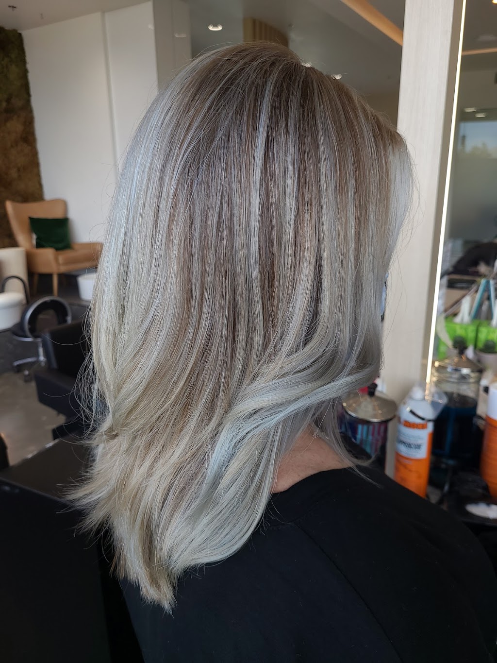 Leana Brown Hair Artist | 19951 80a Ave, Langley City, BC V2Y 0E2, Canada | Phone: (604) 401-9885