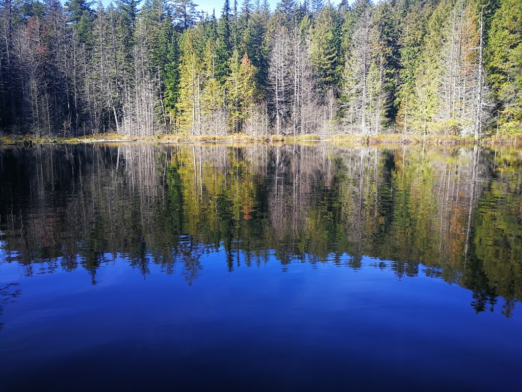 Whyte Lake Trail | West Vancouver, BC V0N 1G0, Canada | Phone: (604) 925-7275