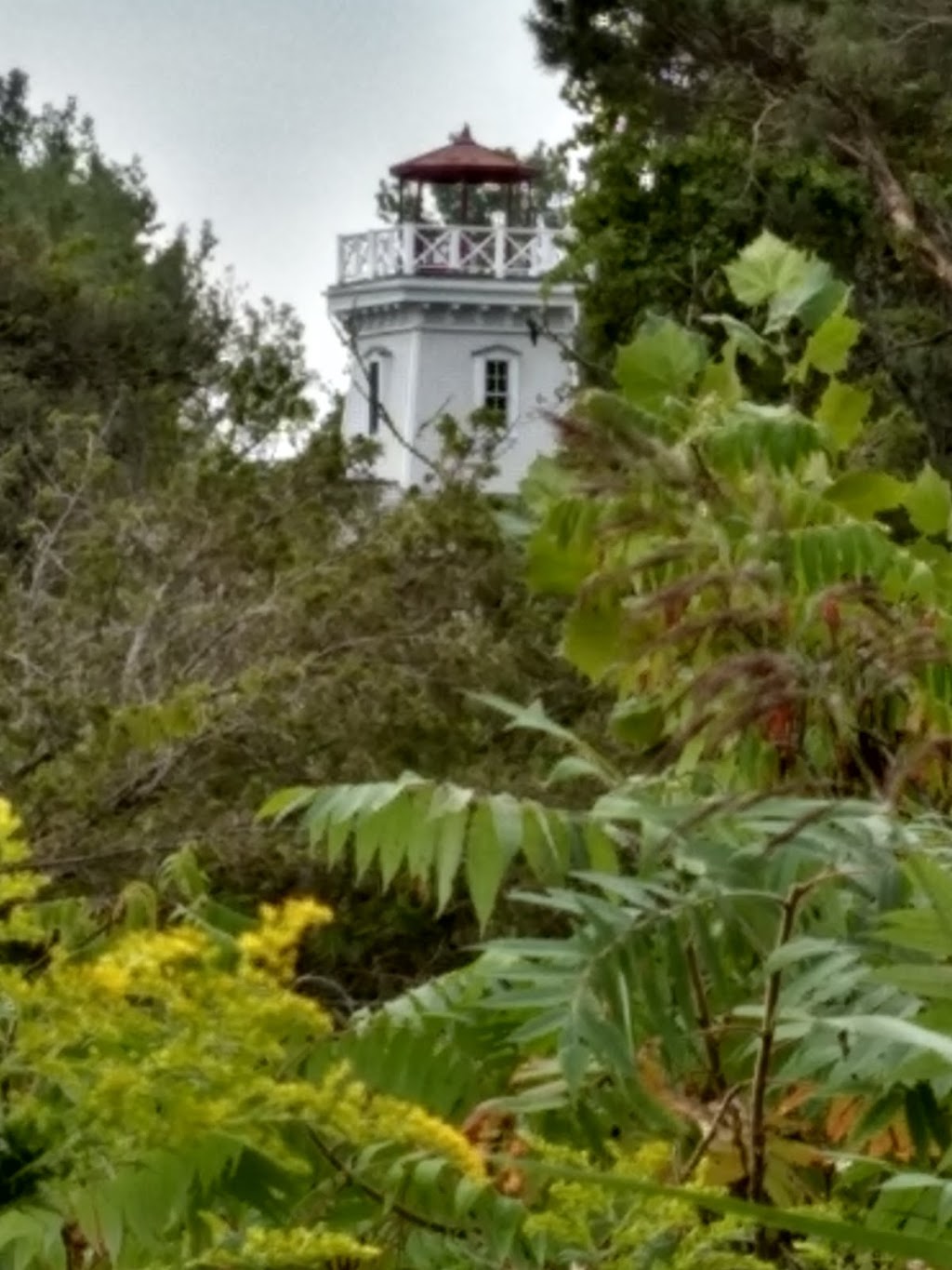 Long Point Bird Observatory | 13 Old Cut Blvd, Port Rowan, ON N0E 1M0, Canada | Phone: (519) 586-3531