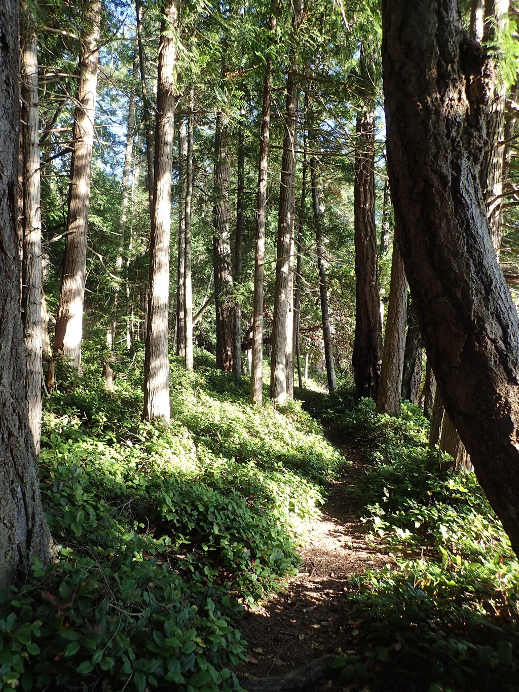 Jones Island State Park | Eastsound, WA 98245, USA