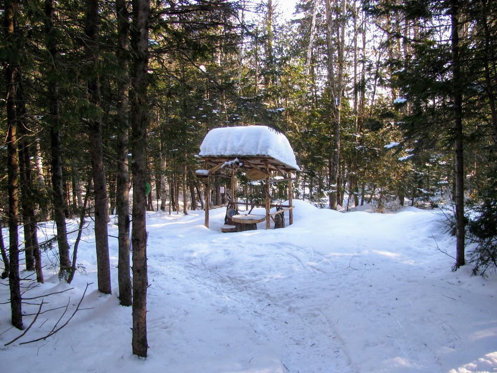 Sentiers de lAmitié | Avenue de lAmitié, Chertsey, QC J0K 3K0, Canada