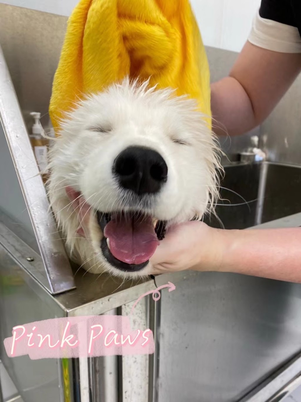 Pink Paws Pets Grooming | 900 Rathburn Rd W, Mississauga, ON L5C 4L2, Canada | Phone: (647) 686-1355