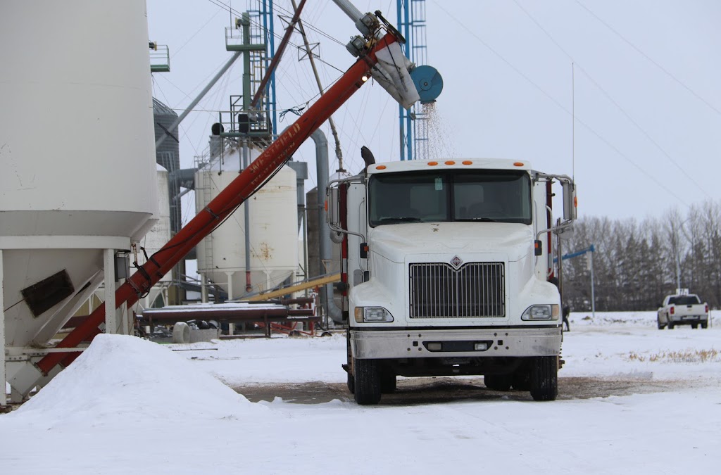 Robertson Seed Cleaning | 500 S Railway Ave, Indian Head, SK S0G 2K0, Canada | Phone: (306) 695-0339