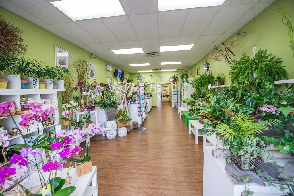 Forest of Flowers | 2387 Trafalgar Rd, Oakville, ON L6H 6K7, Canada | Phone: (905) 257-0777