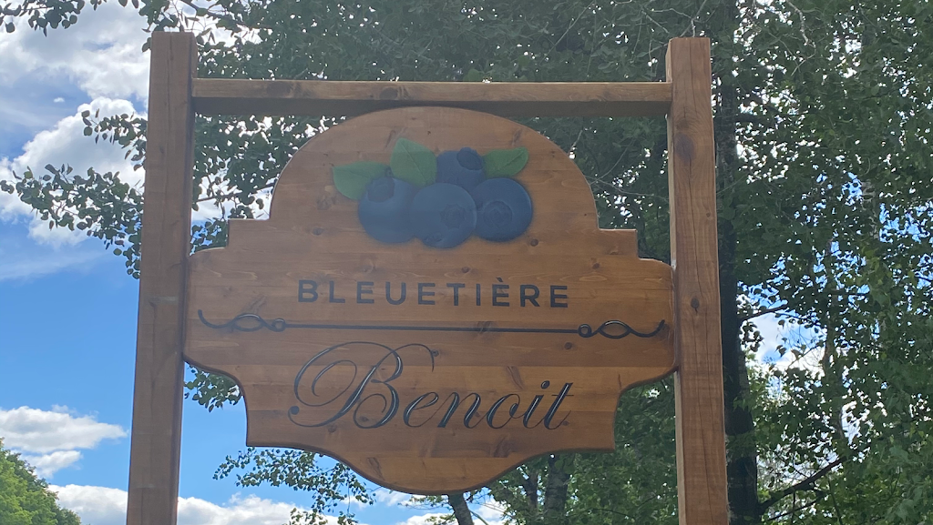 La Bleuetière Benoit | 2676 Chemin Vail, Dunham, QC J0E 1M0, Canada | Phone: (450) 295-2326