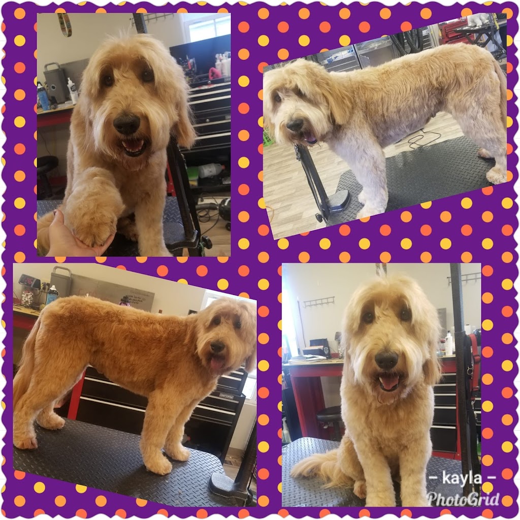 The Barkside Dog Grooming Boutique | 1581 Ridge Rd N, Ridgeway, ON L0S 1N0, Canada | Phone: (905) 993-0371