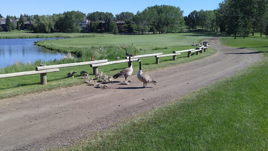 Broadmoor Public Golf Course | 2100 Oak St, Sherwood Park, AB T8A 0V9, Canada | Phone: (780) 467-7373