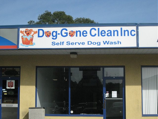 Dog-Gone Clean Inc. | 625 Greenhill Ave #12B, Hamilton, ON L8K 5E8, Canada | Phone: (905) 869-2917