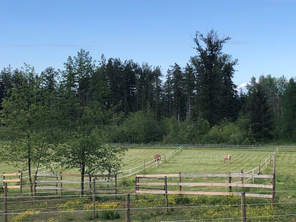 Emerald Acres Horse Boarding | 2517 Alberni Hwy, Coombs, BC V0R 1M0, Canada | Phone: (250) 228-8387