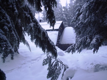 Hollyburn Chalet Girl Guides of Canada | Cabin #286, Main/Old Forks Trail, Hollyburn Ridge, West Vancouver, BC V0N 1G0, Canada | Phone: (604) 838-8828