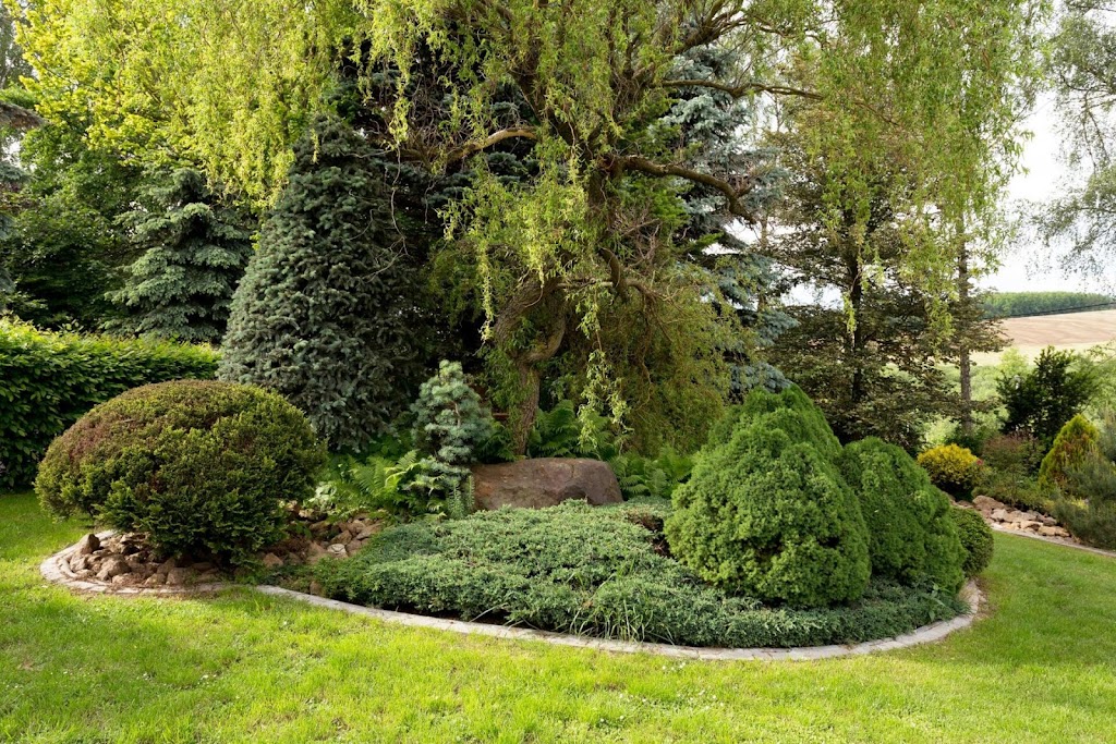 Chilliwack Landscaping Pros | 45922 Higginson Rd B, Chilliwack, BC V2R 2C7, Canada | Phone: (604) 990-7527