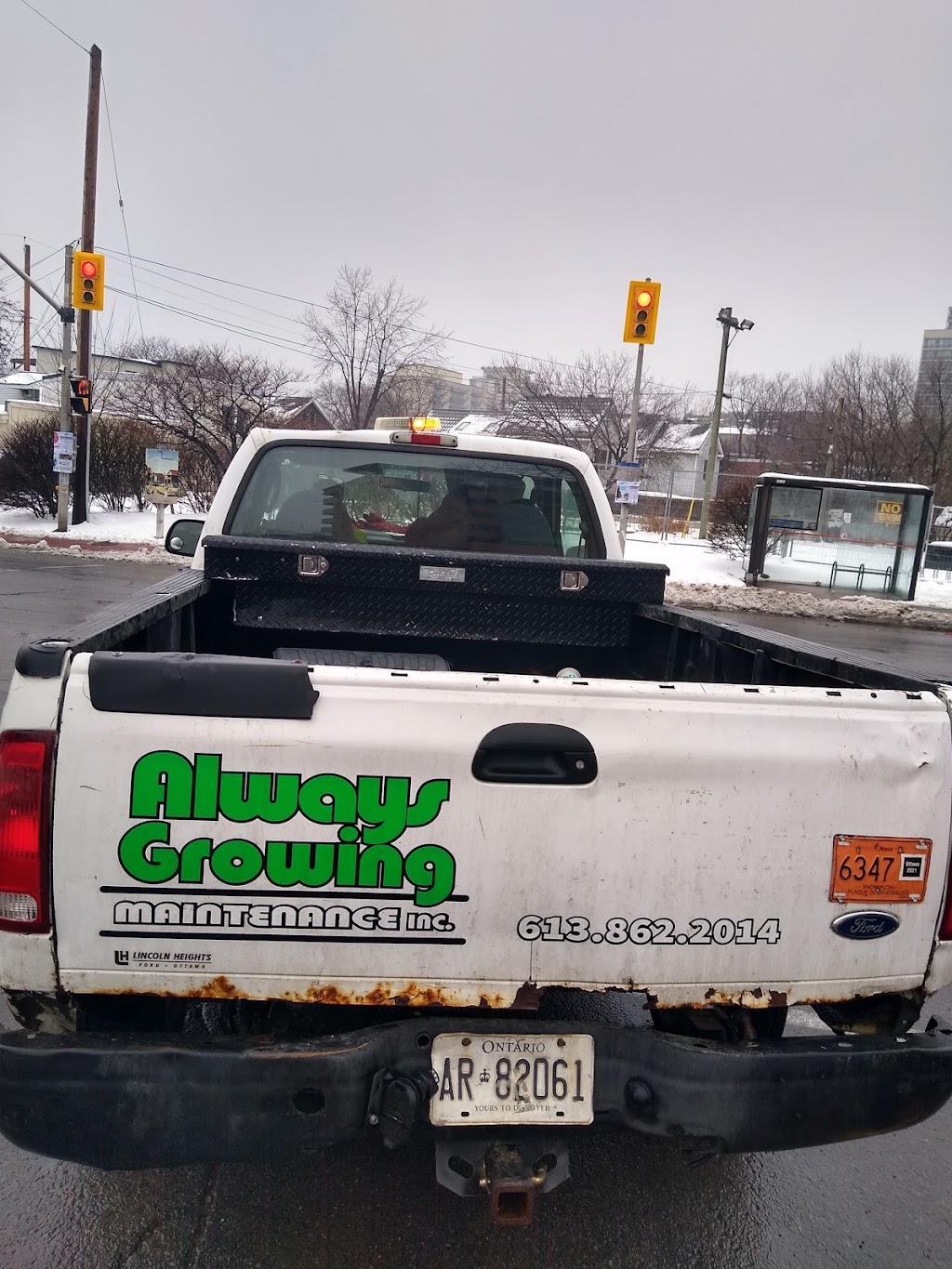 Always Growing Maintenance | 14 Pennington Ln, Gloucester, ON K1B 4X7, Canada | Phone: (613) 862-2014