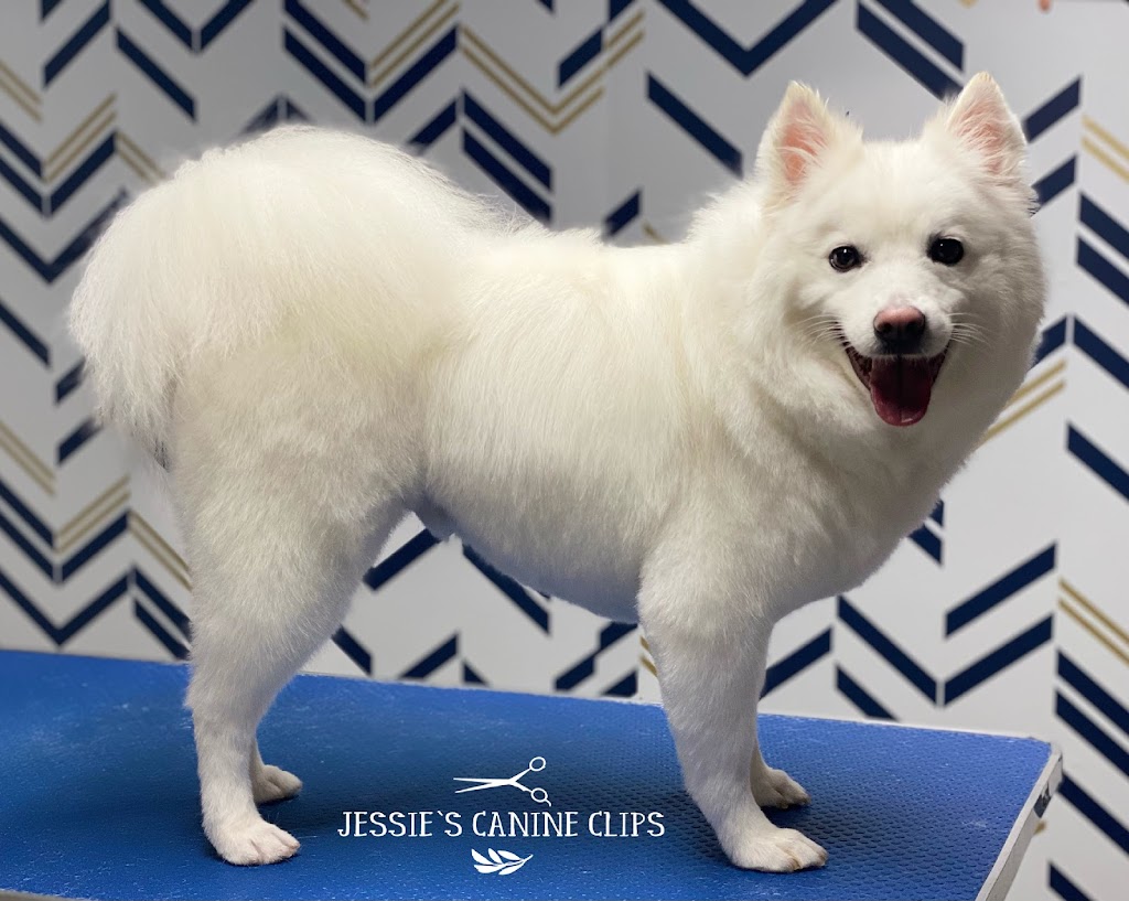 Jessies Canine Clips | 80 Woodland Dr, Midland, ON L4R 4E1, Canada | Phone: (705) 543-1835