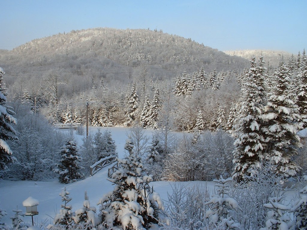 Ferme St-Adolphe | 2032 Chemin St Edmond, Stoneham-et-Tewkesbury, QC G3C 1G9, Canada | Phone: (418) 848-2879