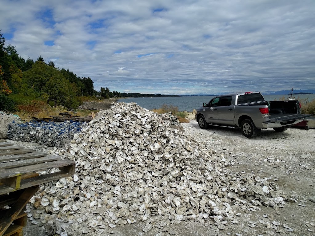 Baynes Sound Oyster Co | 5848 Island Hwy S, Union Bay, BC V0R 3B0, Canada | Phone: (250) 335-2111