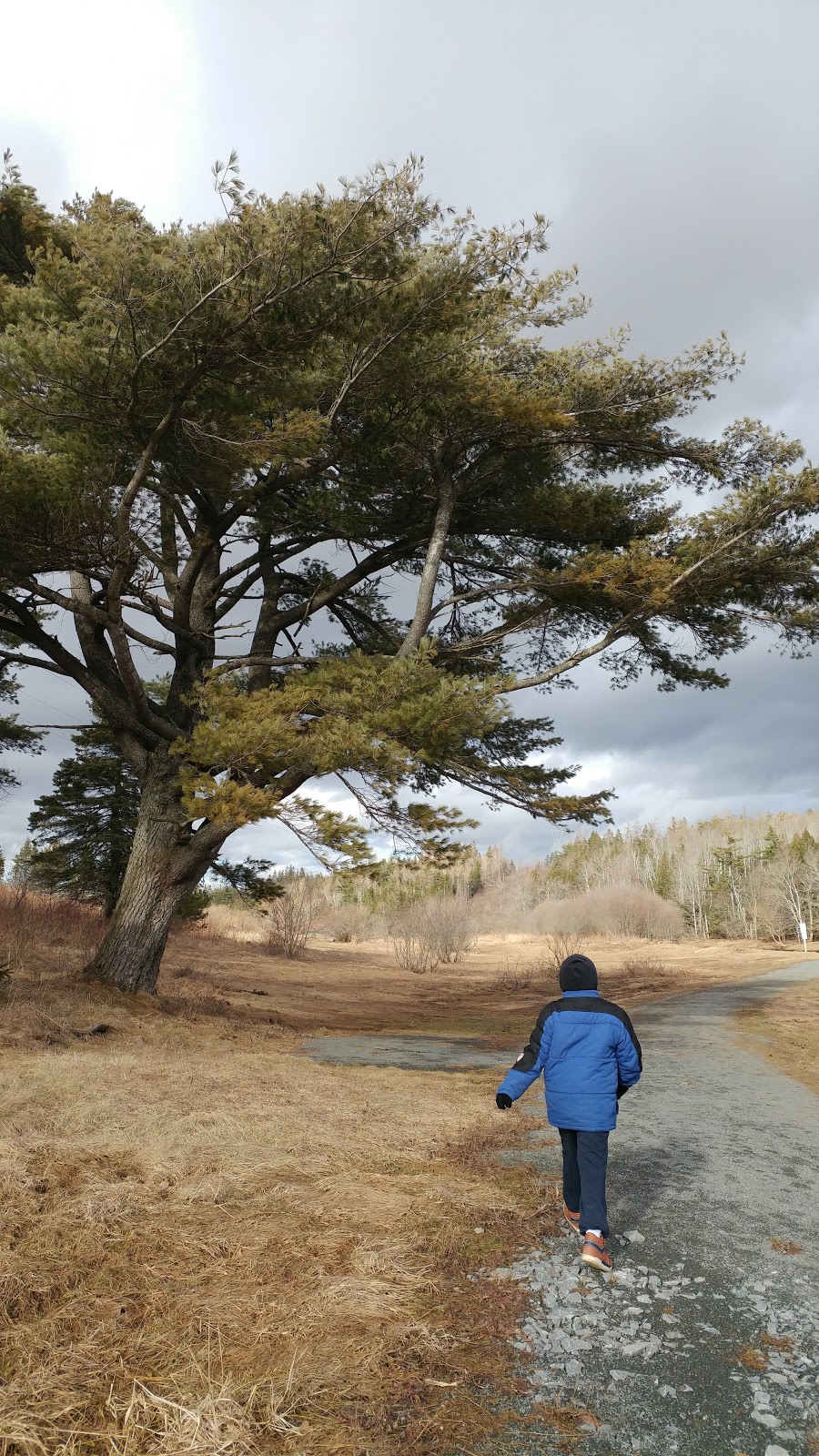 Wickwire Station Park EZ Launch | East Hants, NS B0N 1Y0, Canada