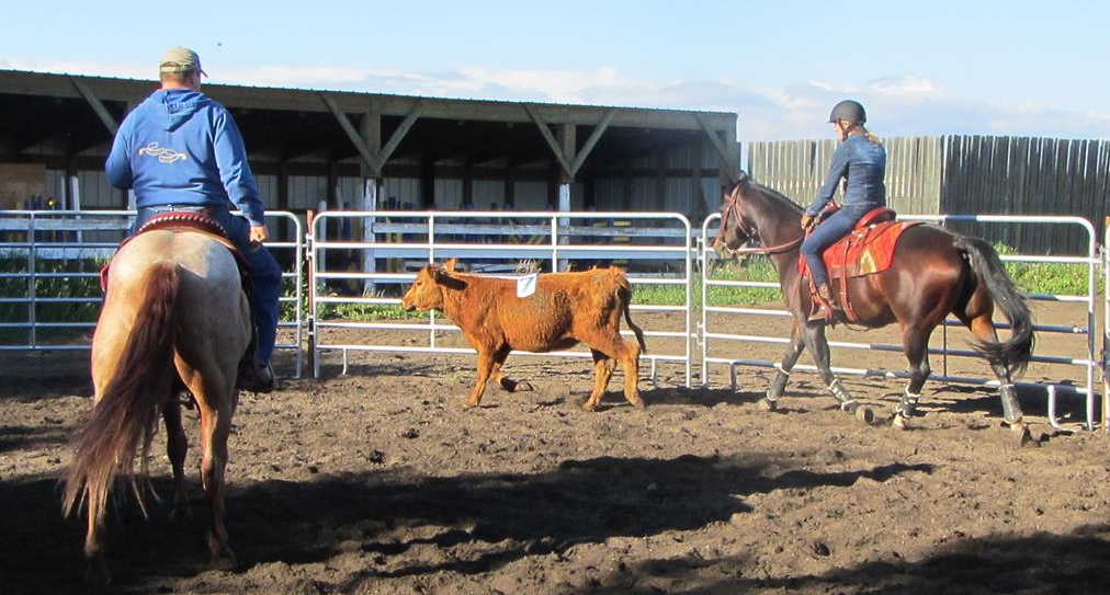 Spirit Horse Stables Ltd | 26020 Township Rd 554, Sturgeon County, AB T8R 2G9, Canada | Phone: (780) 939-5125