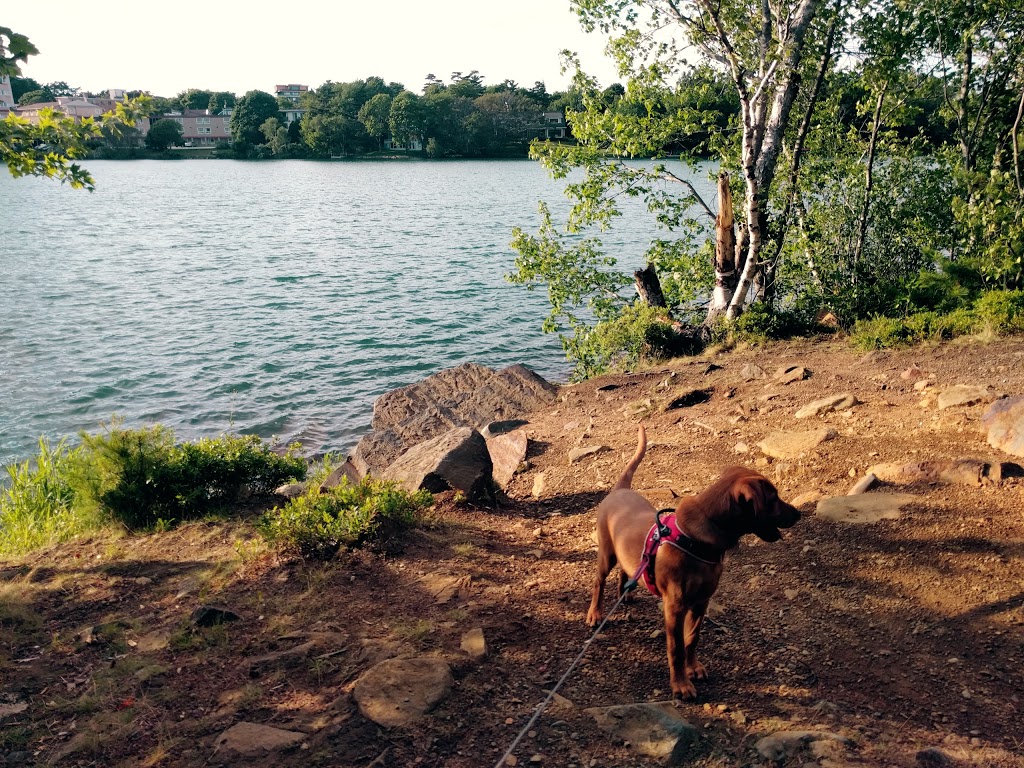 Chocolate Lake Park & Beach | Armdale, Halifax, NS B3N, Canada